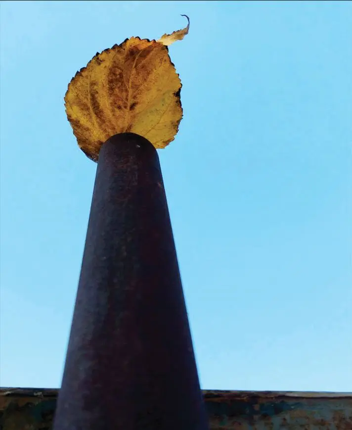 ۴۴۴۴۴۴۴۴۴۴