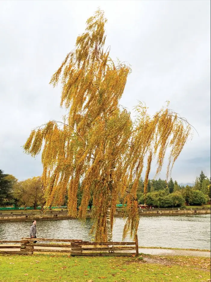 ۳۳۳۳۳۳۳۳۳۳۳۳۳