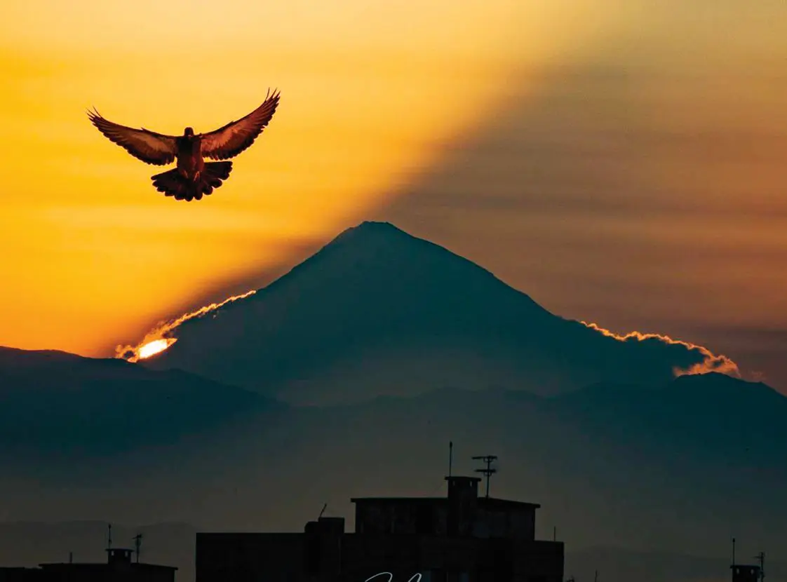 ۴۴۴۴۴۴۴۴۴۴۴۴۴۴۴۴۴