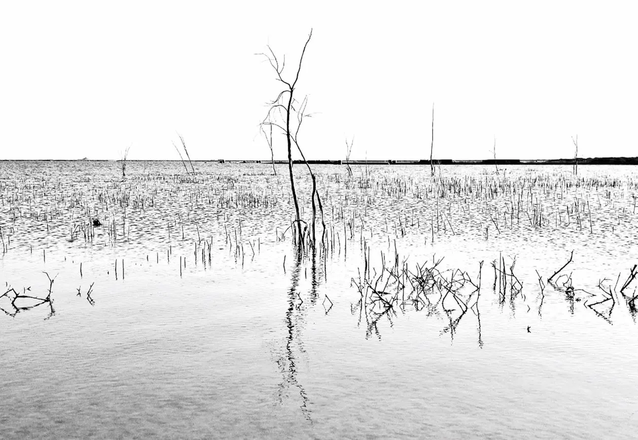 ۵۵۵۵۵۵۵۵۵۵