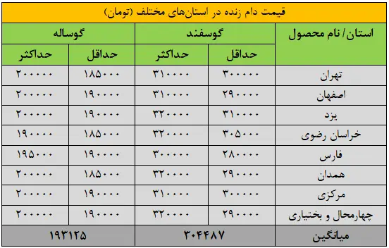 گوش+گوساله