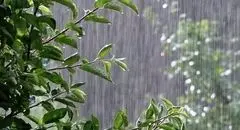 هشدار هواشناسی؛ سامانه بارشی تازه‌نفس در راه است