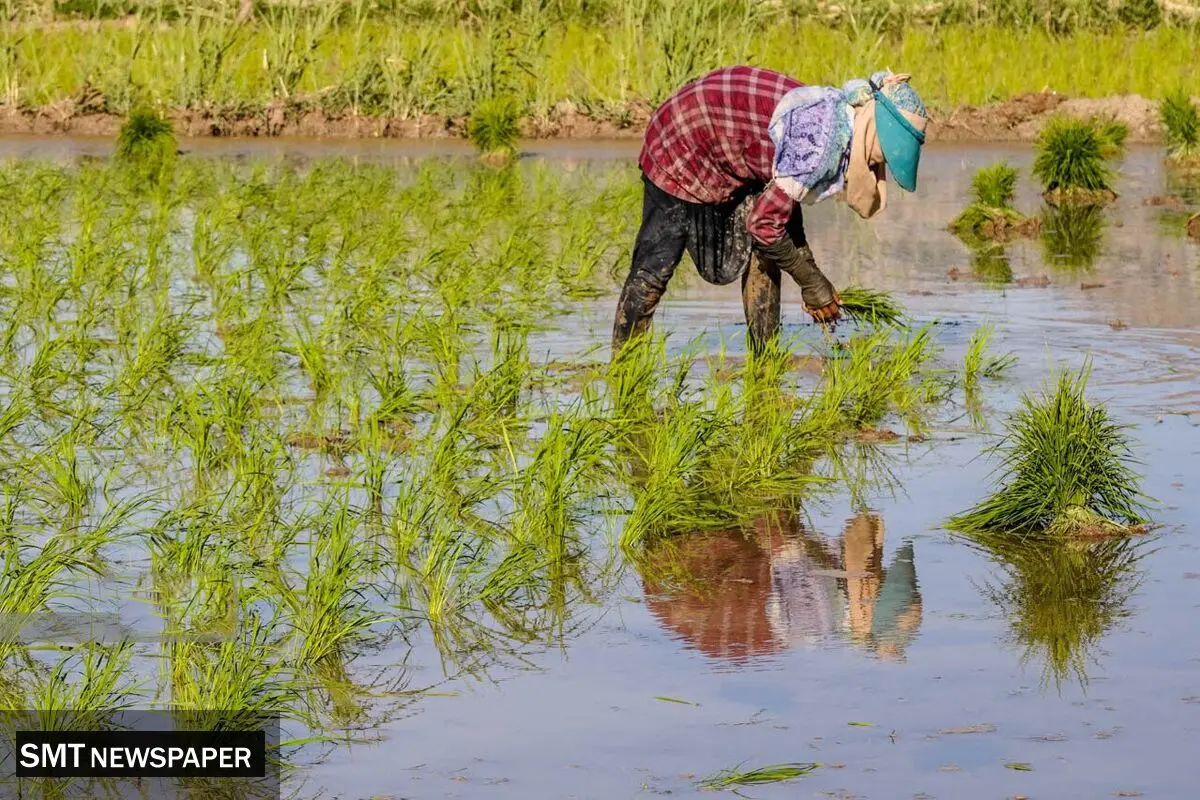مصائب کشاورزان تمامی ندارد

