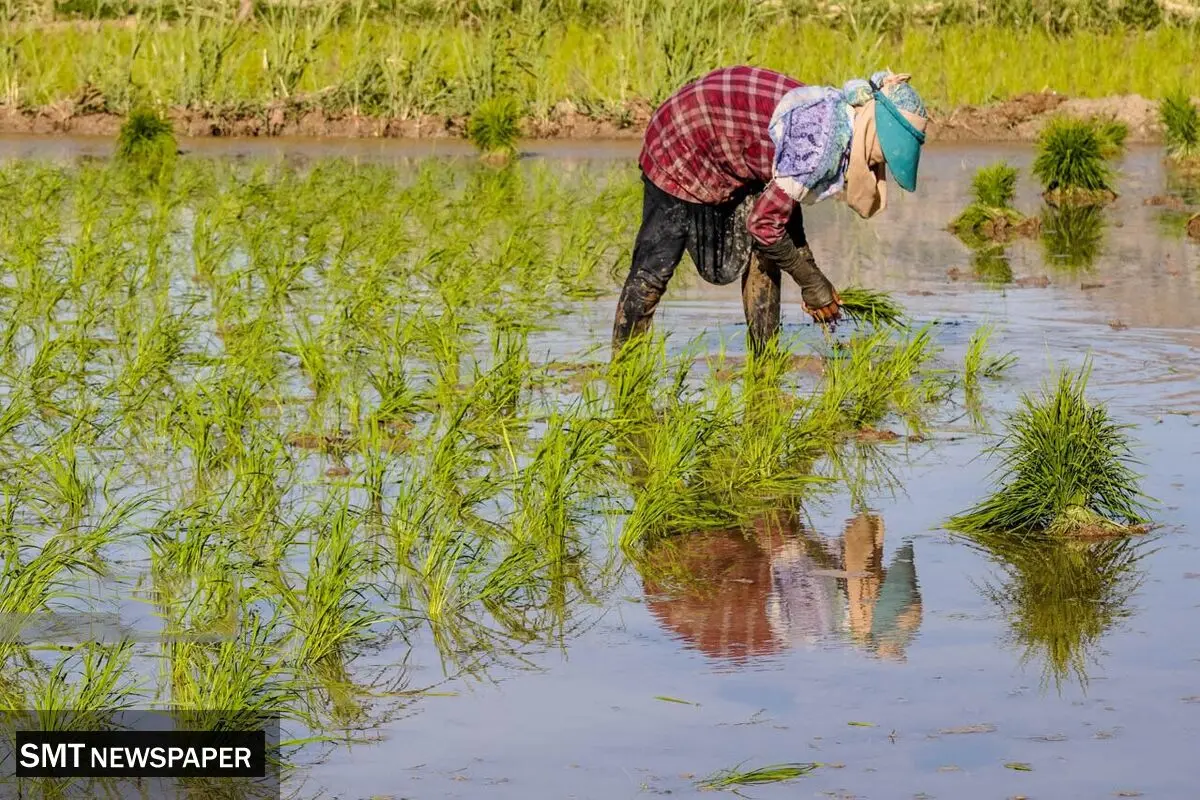 مصائب کشاورزان تمامی ندارد

