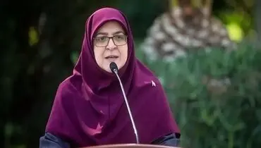 مهاجرانی: قیمت‌ها به ثبات می رسد