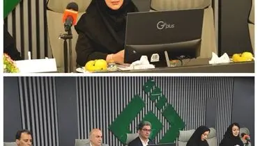 بیمه های متصل به دارایی، پیوند جدید بیمه و سرمایه گذاری