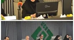 بیمه های متصل به دارایی، پیوند جدید بیمه و سرمایه گذاری