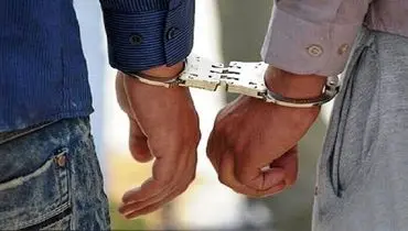 ۱۸۰ میلیارد ریال کلاهبرداری در شبکه هرمی لو رفت