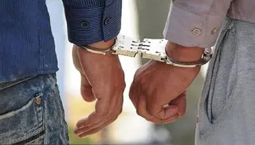 ۱۸۰ میلیارد ریال کلاهبرداری در شبکه هرمی لو رفت