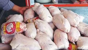 مرغ به ۸۰ هزار تومان رسید !