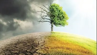 ثروت و قدرت مانع اجرای قوانین محیط‌زیستی