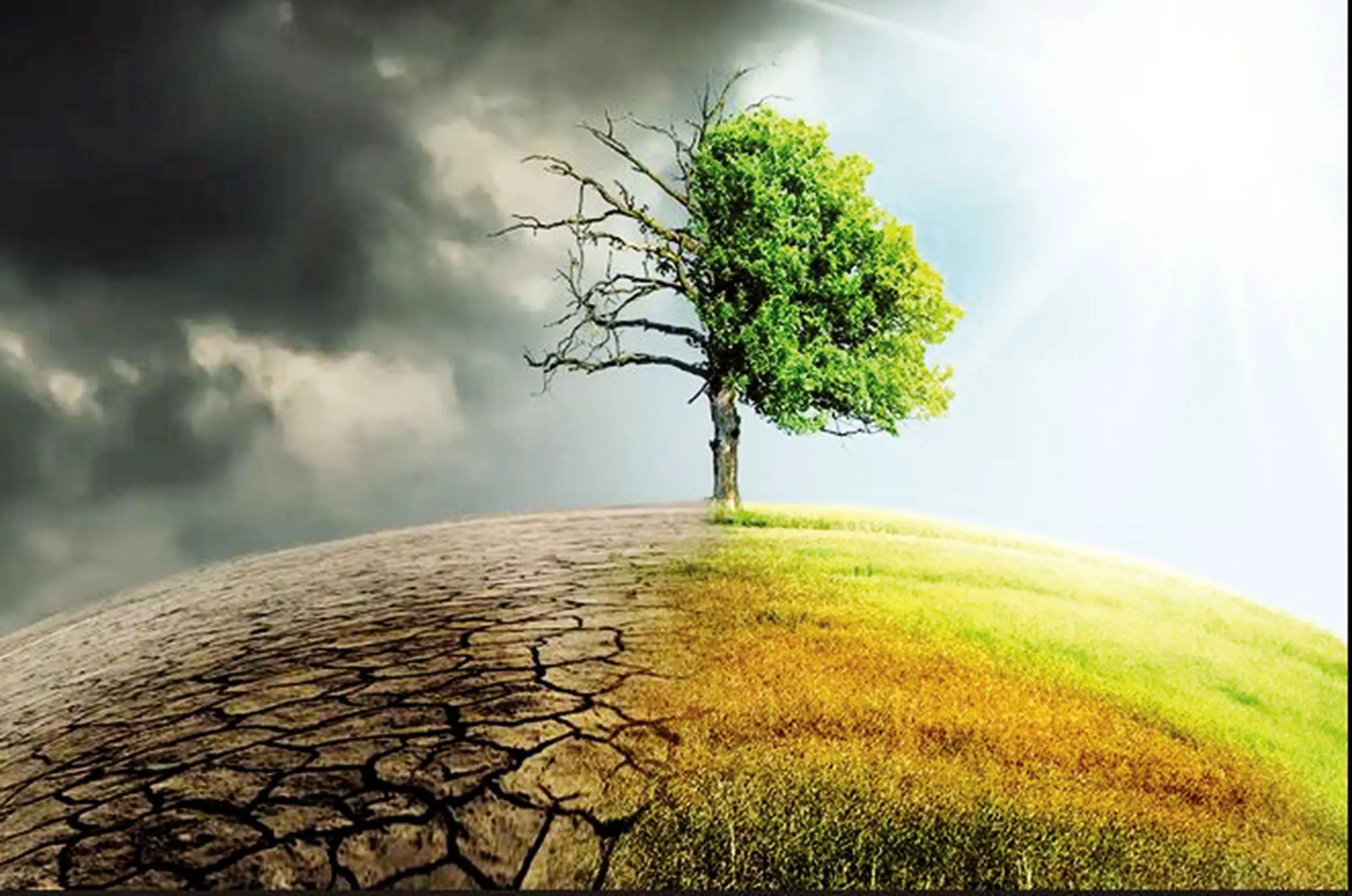 ثروت و قدرت مانع اجرای قوانین محیط‌زیستی