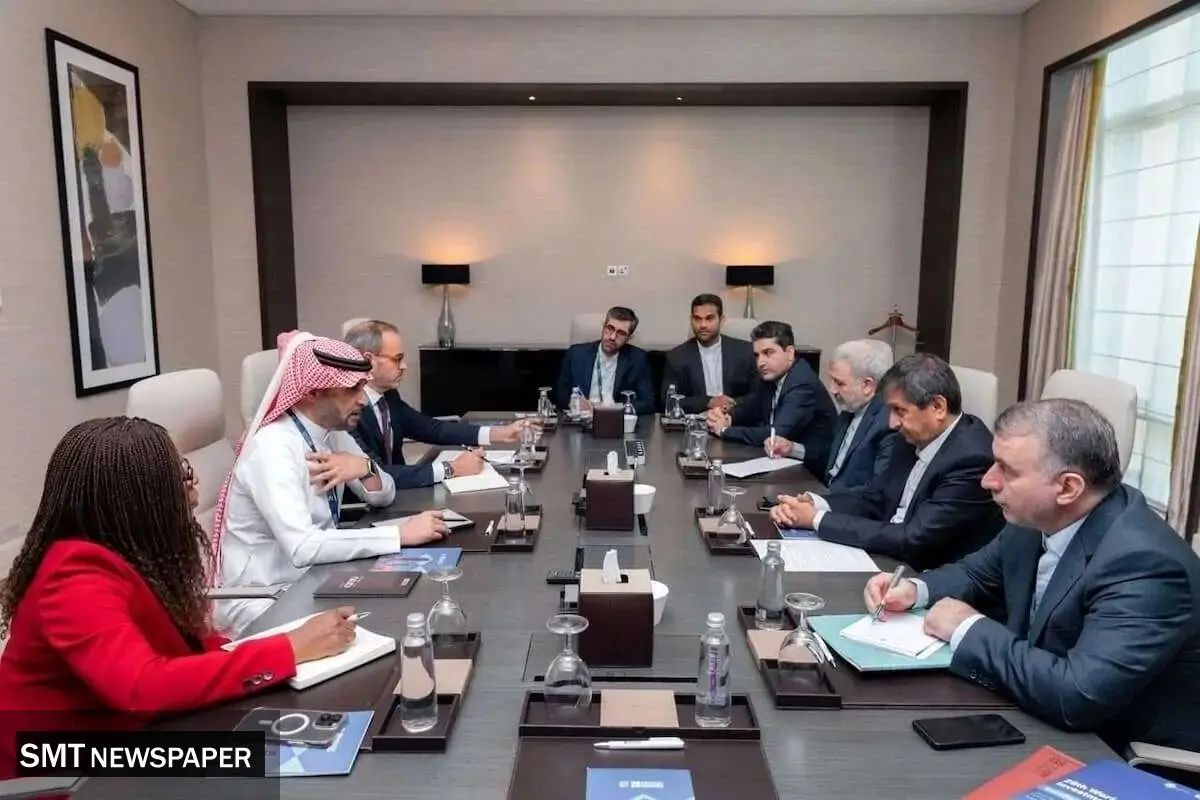 گفت وگوی وزیر اقتصاد با رئیس صندوق اوپک