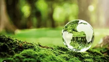 نیمه‌راه ۱۴۰۴؛ عملکرد محیط‌زیست زیر ذره‌بین