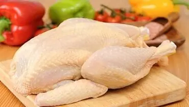 قیمت مرغ امروز چهارشنبه ۲۶ شهریور ۱۴۰۴ + جدول