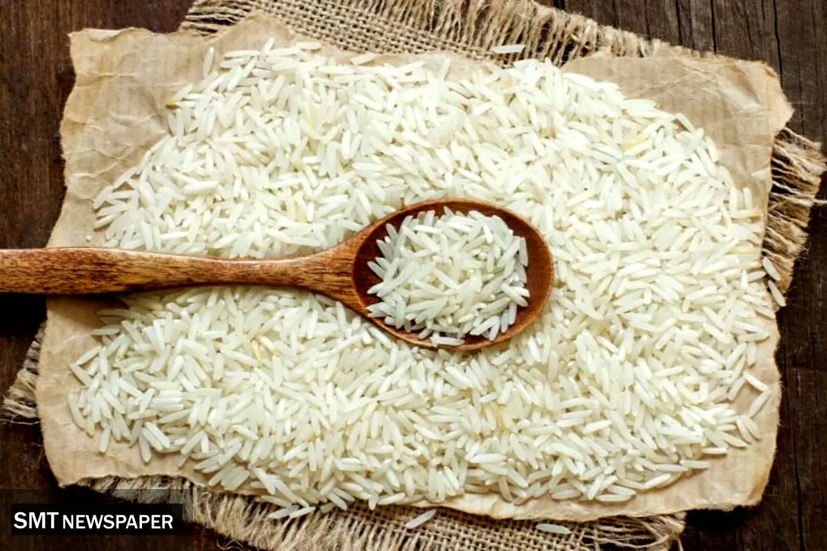 ثبت سفارش برنج سفید از ۲۷ مهر آغاز شد؛ پاییز بدون ممنوعیت واردات