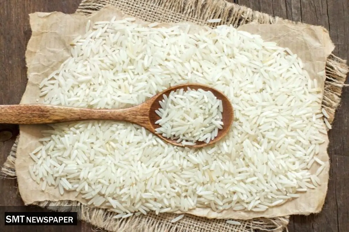 ثبت سفارش برنج سفید از ۲۷ مهر آغاز شد؛ پاییز بدون ممنوعیت واردات