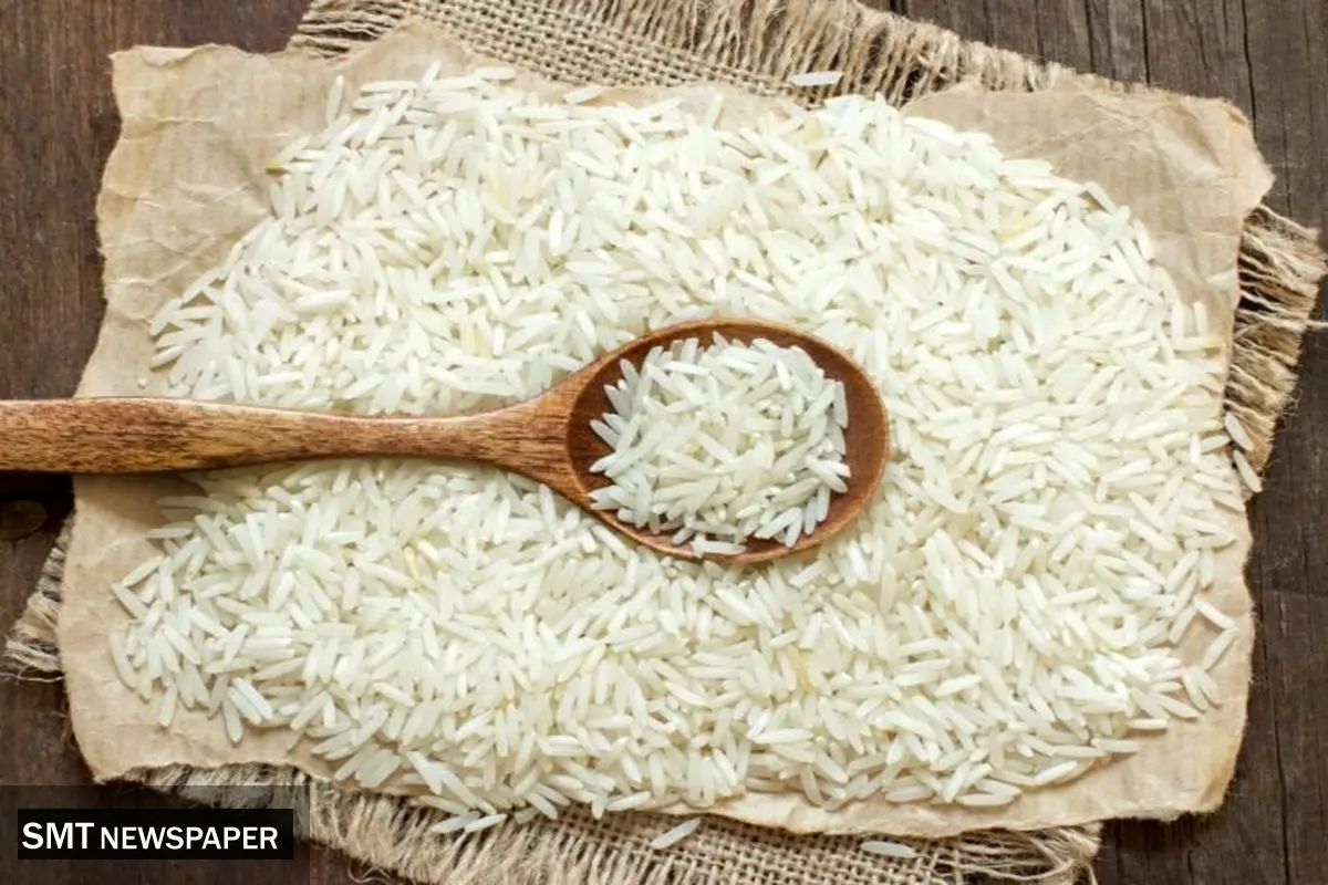 ثبت سفارش برنج سفید از ۲۷ مهر آغاز شد؛ پاییز بدون ممنوعیت واردات