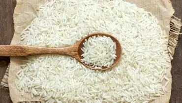 ثبت سفارش برنج سفید از ۲۷ مهر آغاز شد؛ پاییز بدون ممنوعیت واردات