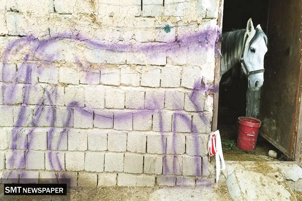 قدرت هنرمند در ترکیب‌بندی

