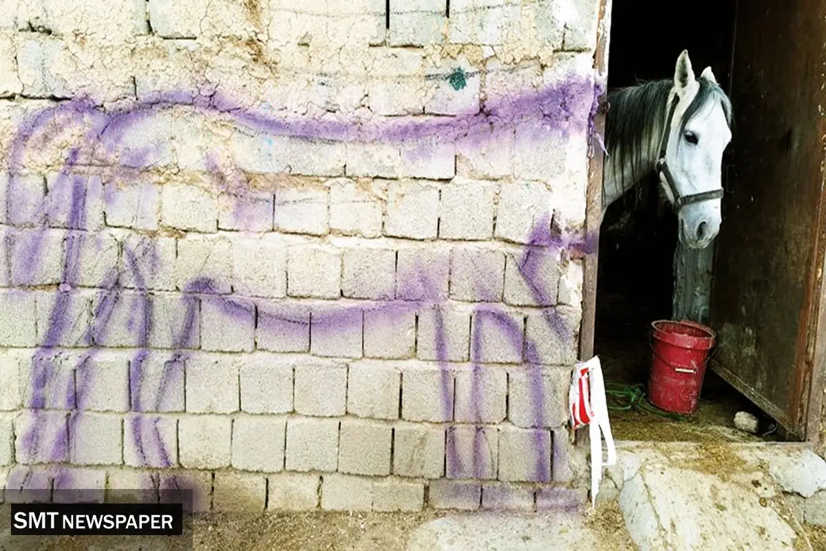 قدرت هنرمند در ترکیببندی