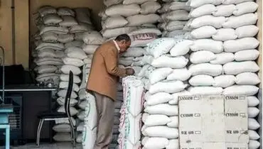 توزیع ۱۵۰ هزار تن برنج پاکستانی در سطح استان‌ها آغاز شد