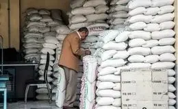 توزیع ۱۵۰ هزار تن برنج پاکستانی در سطح استان‌ها آغاز شد