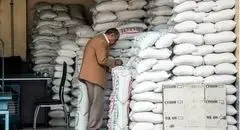 توزیع ۱۵۰ هزار تن برنج پاکستانی در سطح استان‌ها آغاز شد