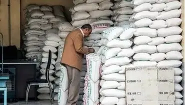 توزیع ۱۵۰ هزار تن برنج پاکستانی در سطح استان‌ها آغاز شد