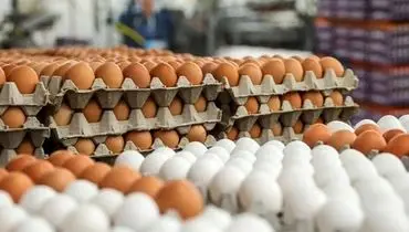 نرخ جدید تخم‌مرغ در خرده‌فروشی‌ها مشخص شد