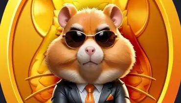  کد مورس همستر امروز ۱۱ شهریور + نحوه وارد کردن