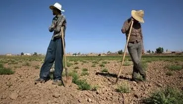خاموشی، نمکی دیگر بر زخم کشاورزان