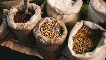 افزایش رانت و فساد نتیجه ارز چندنرخی