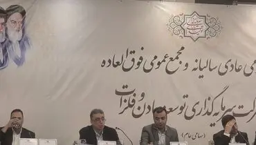 مجمع عمومی عادی سالانه شرکت سرمایه گذاری توسعه معادن و فلزات