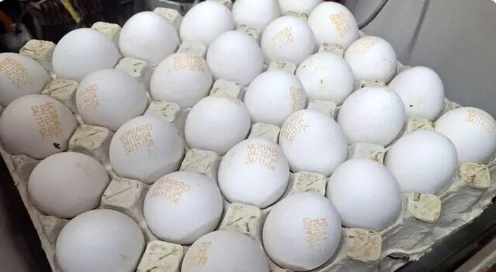 تخم‌مرغ گران شد؛ افزایش ناگهانی در بازار مواد غذایی