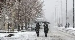 بارش اولین برف پاییزی | مردم غافلگیر شدند + فیلم