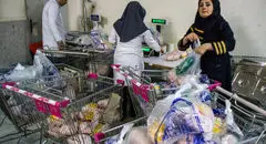 آغاز توزیع برنج هندی در طرح کالابرگ از طریق تعاونی‌ها