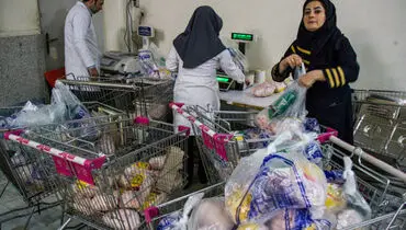 آغاز توزیع برنج هندی در طرح کالابرگ از طریق تعاونی‌ها