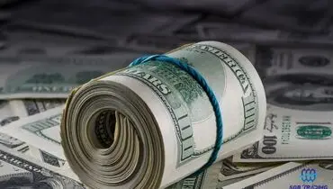 قیمت دلار و انواع ارز امروز شنبه ۱۸ مرداد ۱۴۰۴ + جدول