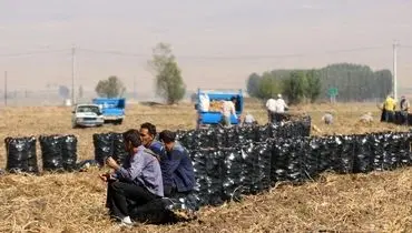 دود اعتراض در چشم کشاورزان