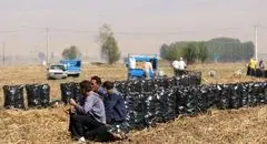 دود اعتراض در چشم کشاورزان