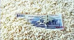 هزینه یک وعده غذای ساده؛ چالش روزانه کارگران ایرانی