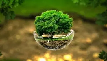 جیب محیط‌زیست را خالی نگذارید
