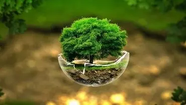 جیب محیط‌زیست را خالی نگذارید