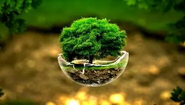 جیب محیط‌زیست را خالی نگذارید