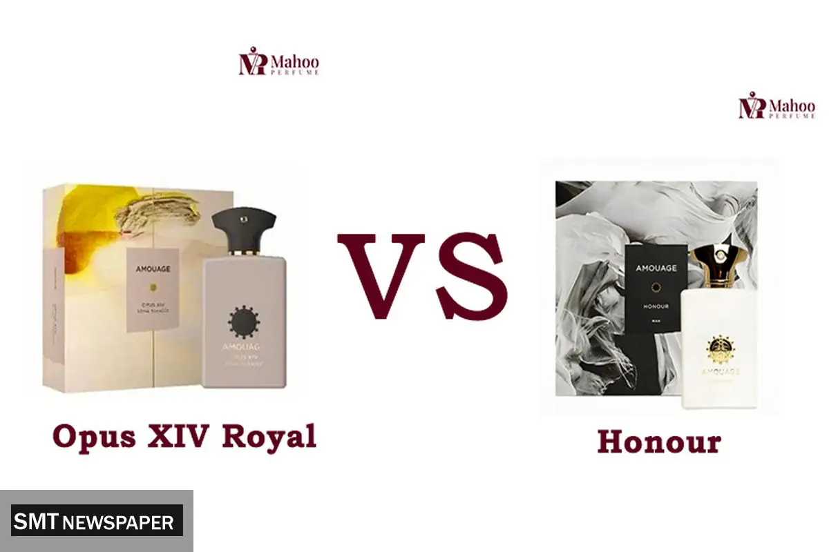 مقایسه عطر آمواج اوپوس 14 رویال توباکو با آمواج هانراصل مردانه | کدام ارزش خرید دارد؟