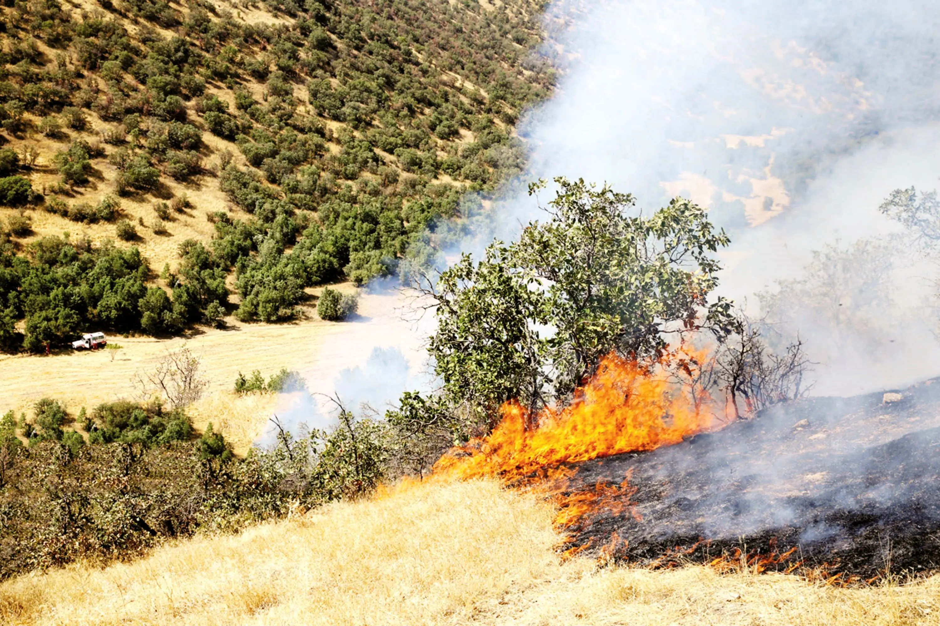 شدت حریق جنگل‌ها از حالت طبیعی خارج شده است