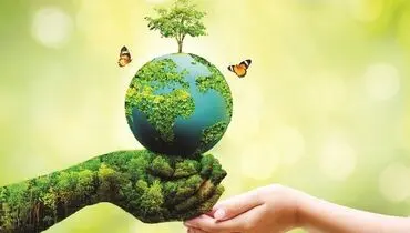 محیط‌زیست، قربانی خاموش جنگ