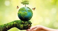 محیط‌زیست، قربانی خاموش جنگ