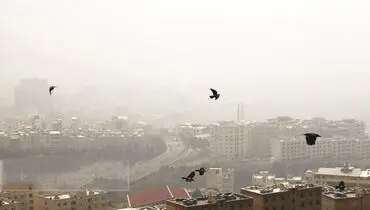 سایه سنگین سموم پنهان بر فراز ایران